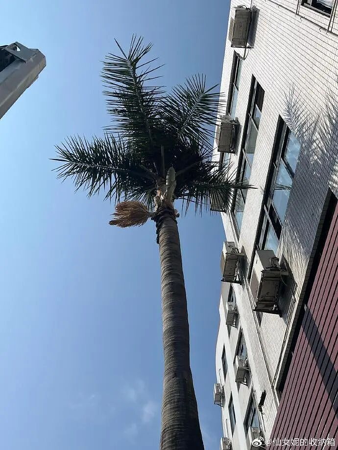【爆笑】男朋友给我转钱又要回去是真大方吗?网友无语:谈恋爱没必要装大方(组图) - 11
