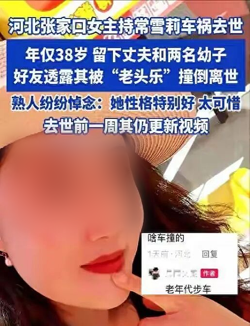 河北女主持被撞身亡,激发全网愤怒:怎么又是它?(组图) - 3