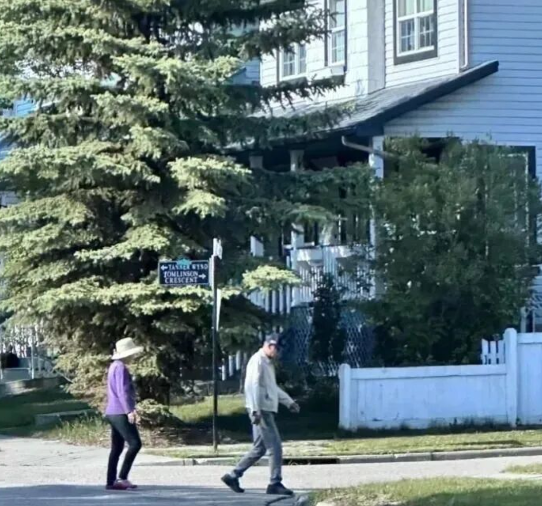 聊聊华人大妈大爷在国外的另类娱乐：捡垃圾！有人被挂网上曝光，有人直接被判刑（组图） - 3