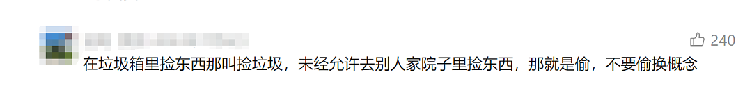 聊聊华人大妈大爷在国外的另类娱乐：捡垃圾！有人被挂网上曝光，有人直接被判刑（组图） - 5