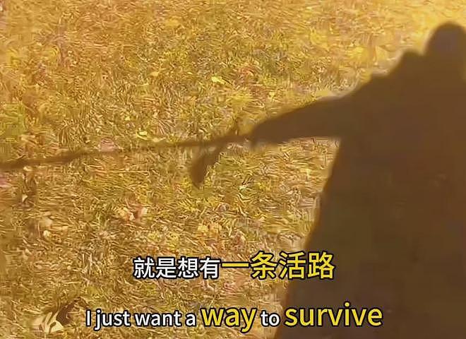 郑爽回应变脸争议，避谈医美质疑，哭诉自己生活不好只想要活路（组图） - 16
