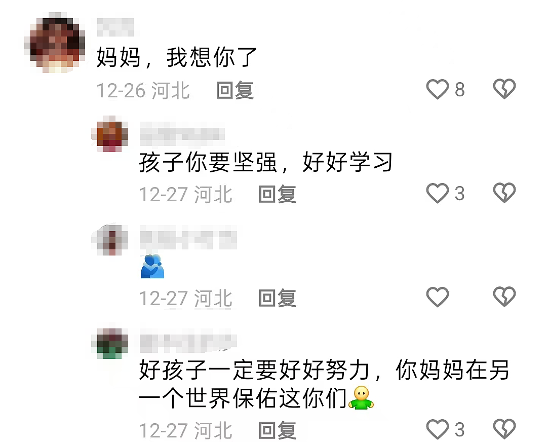 河北女主持被撞身亡,激发全网愤怒:怎么又是它?(组图) - 5