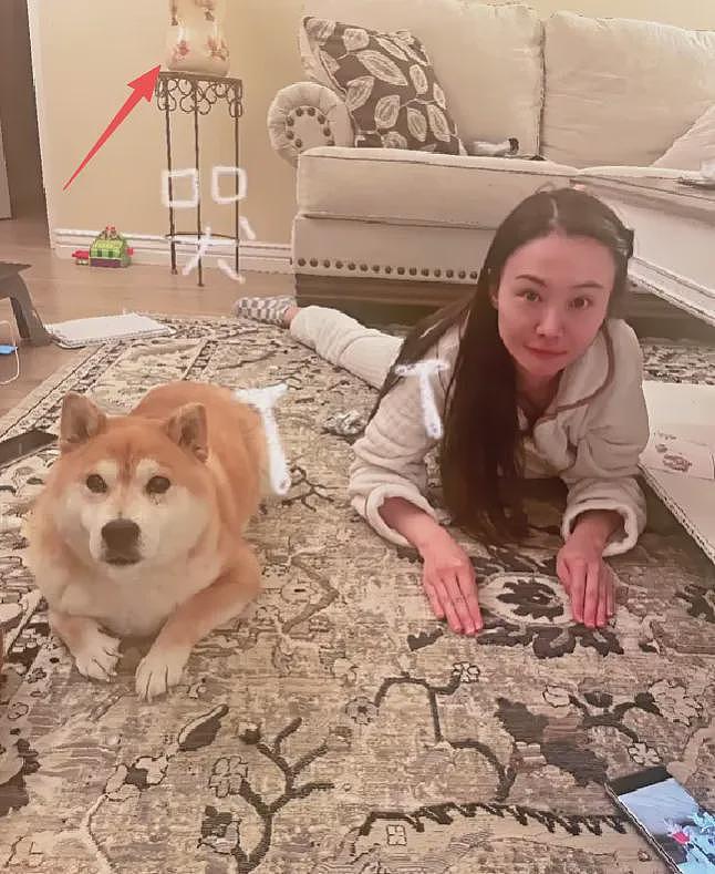 郑爽回应变脸争议，避谈医美质疑，哭诉自己生活不好只想要活路（组图） - 9