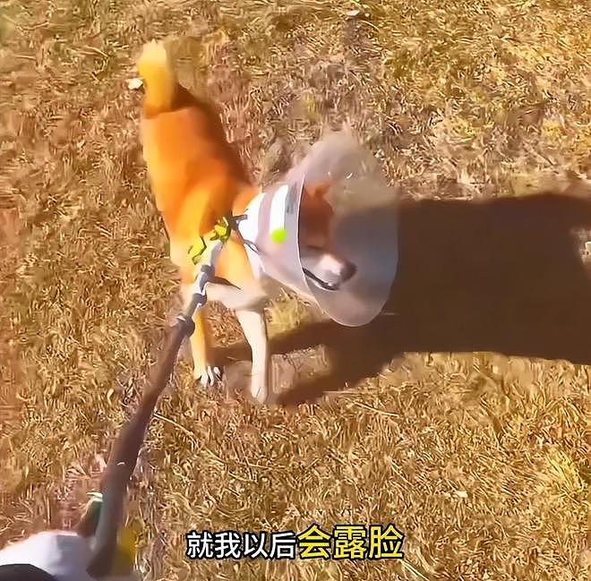 郑爽回应变脸争议，避谈医美质疑，哭诉自己生活不好只想要活路（组图） - 17
