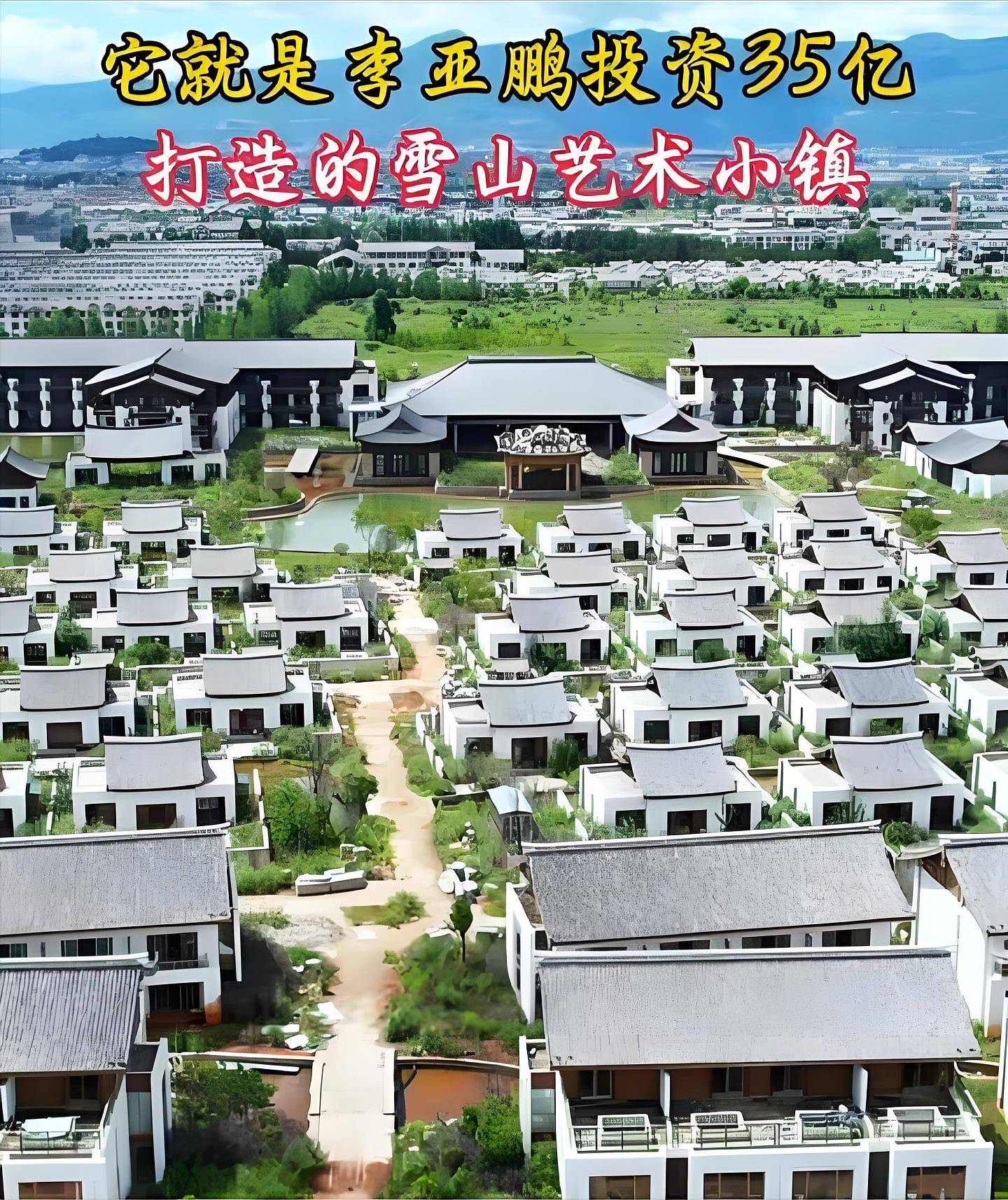 李亚鹏：以后不谈恋爱不结婚，白发母亲有两大遗憾（组图） - 7