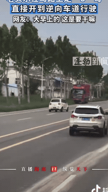 河北女主持被撞身亡,激发全网愤怒:怎么又是它?(组图) - 8