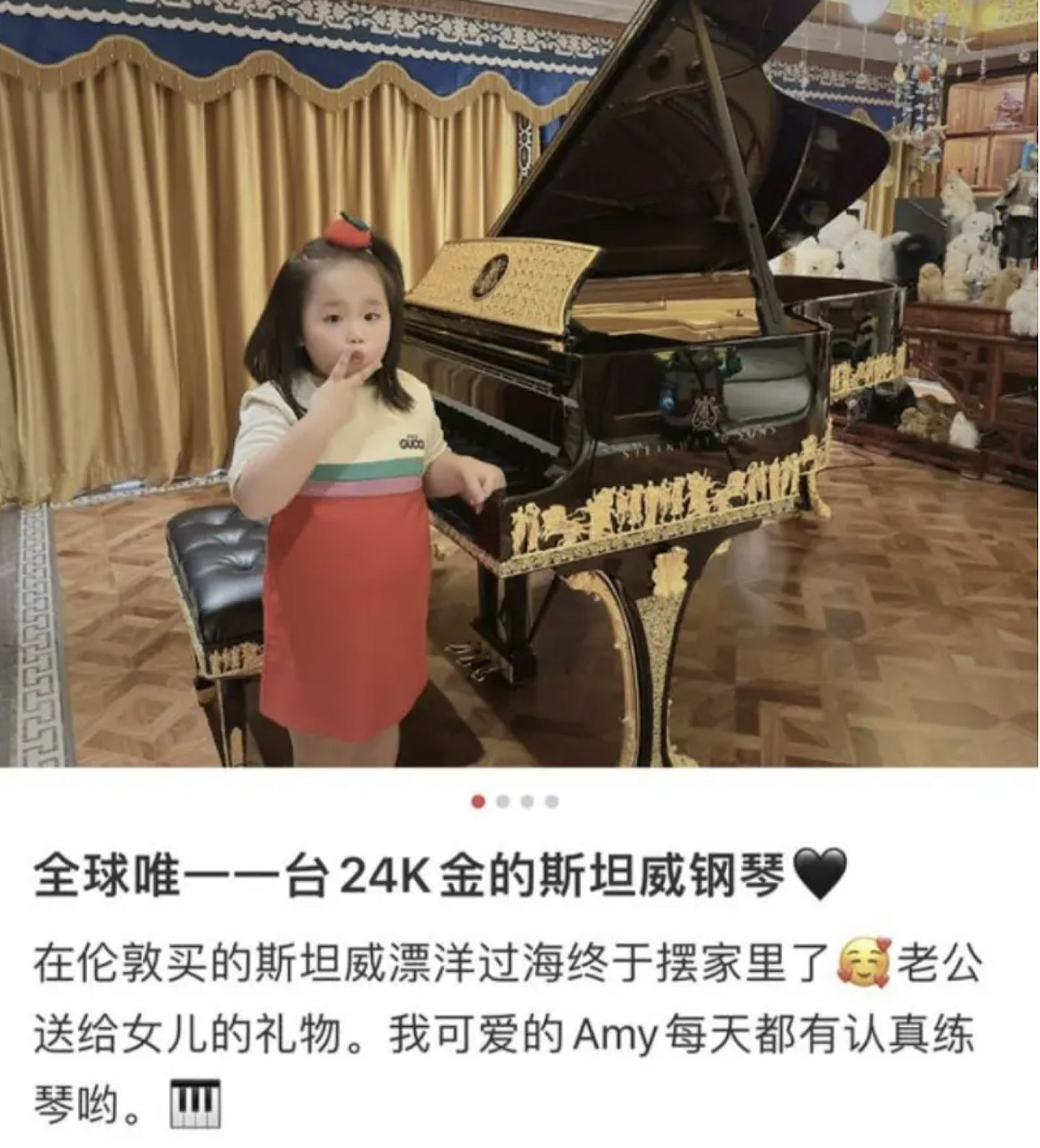千亿电诈集团覆灭，首脑陈志被捕！妻子疑为炫富网红，家中养鲨鱼，女儿弹金钢琴（组图） - 9