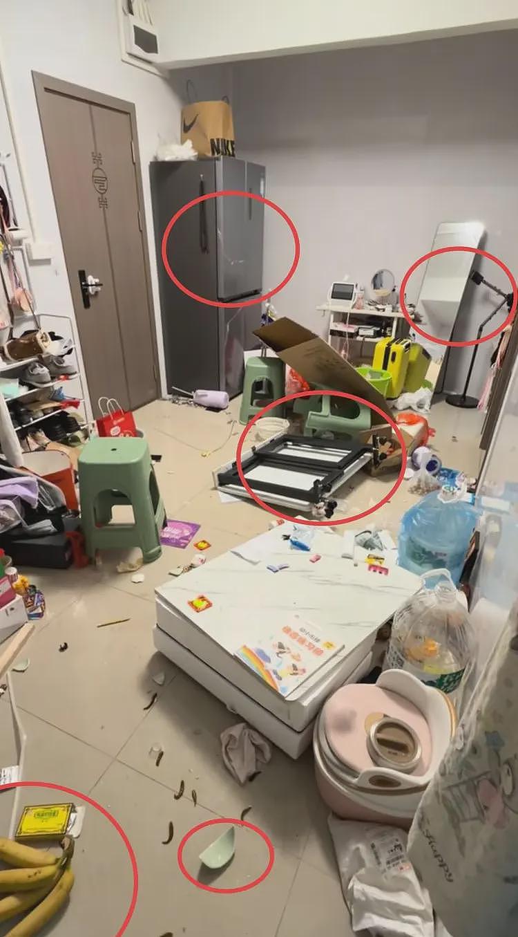 反噬！买洗碗机被砸家后续: 女子准备回老家，提出离婚丈夫已同意（组图） - 7