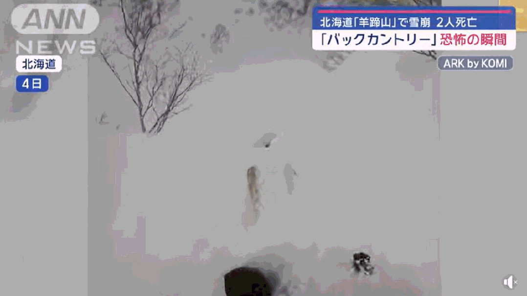 新年刘嘉玲、周杰伦夫妇,王菲、章子怡母女,王思聪及女友扎堆在日本北海道滑雪(组图) - 15