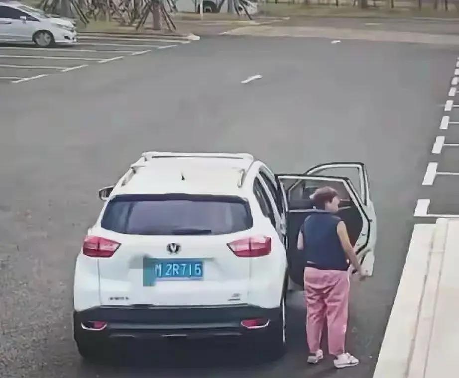 夫妇开SUV偷厕所垃圾桶后续:已归还,景区负责人发声不追究了(组图) - 15