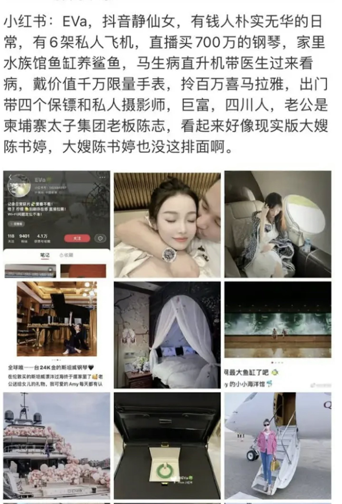 千亿电诈集团覆灭，首脑陈志被捕！妻子疑为炫富网红，家中养鲨鱼，女儿弹金钢琴（组图） - 8