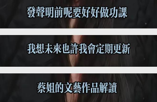 蔡依林演唱会风波升级！被起诉博主不道歉，坚称现场涉及西方宗教（组图） - 4