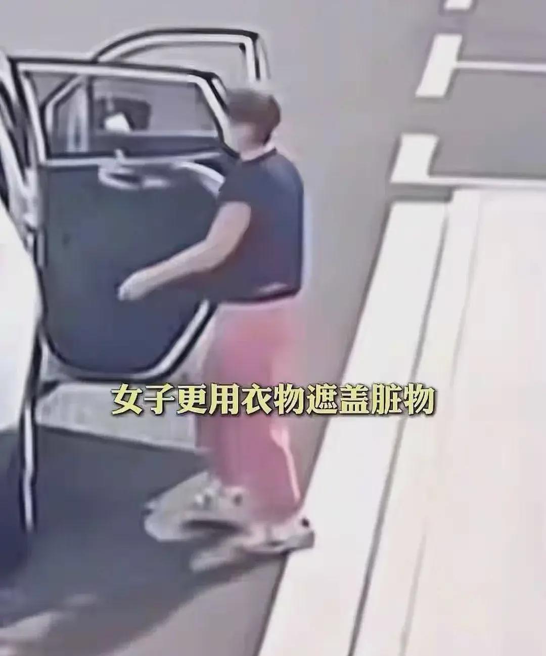 夫妇开SUV偷厕所垃圾桶后续:已归还,景区负责人发声不追究了(组图) - 3