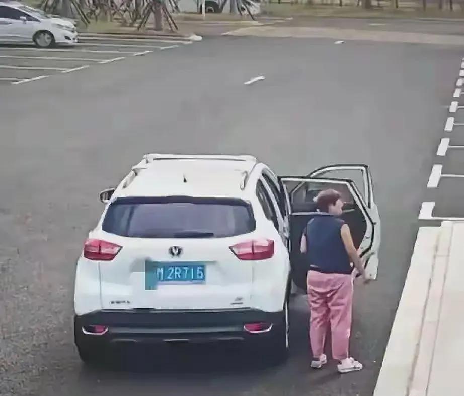 夫妇开SUV偷厕所垃圾桶后续:已归还,景区负责人发声不追究了(组图) - 2
