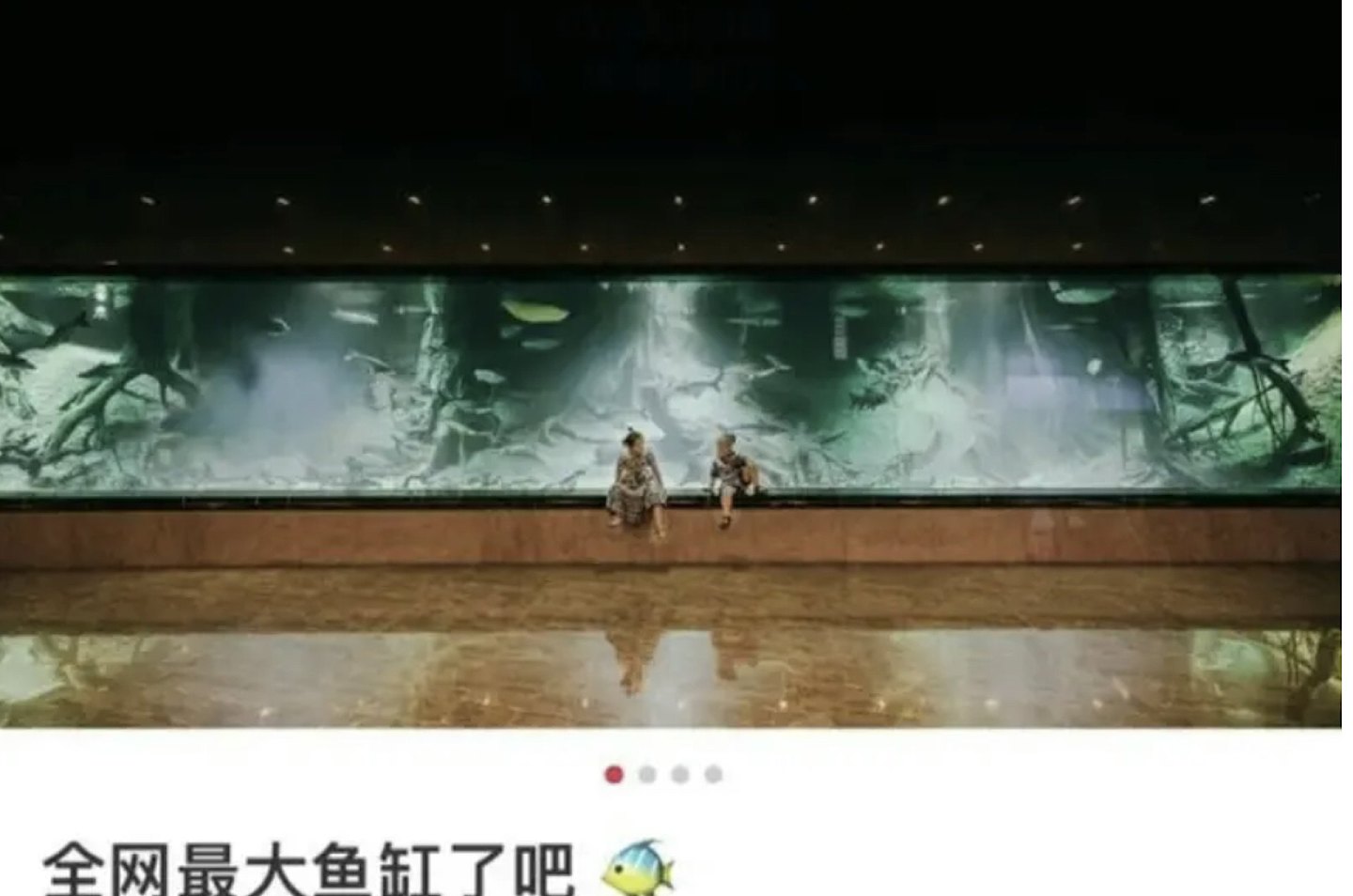 千亿电诈集团覆灭，首脑陈志被捕！妻子疑为炫富网红，家中养鲨鱼，女儿弹金钢琴（组图） - 3