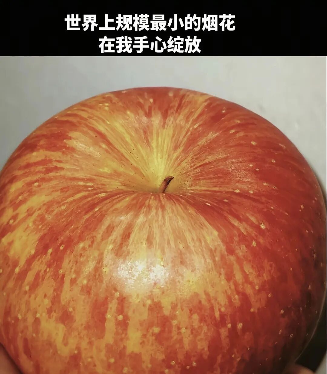 【爆笑】“外卖商家收到投诉后都在想什么？”哈哈哈哈哈这也太尴尬了吧！！（组图） - 37