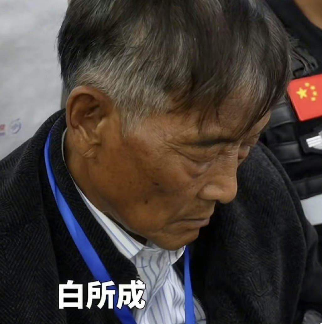 缅北电骗头目被押回中国机舱内特写曝光!央视:对电诈一追到底(组图) - 2