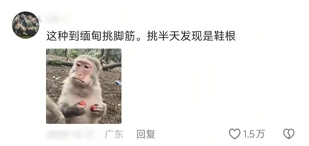 【爆笑】“直播被封的理由有多离谱？！”哈哈哈哈哈哈哈简直刷新三观！！（组图） - 67