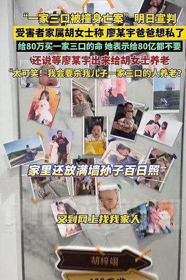 男子为泄愤撞死一家三口含婴儿判死缓!死者母曾言:赔80亿都不要(组图) - 8
