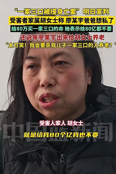 男子为泄愤撞死一家三口含婴儿判死缓!死者母曾言:赔80亿都不要(组图) - 6