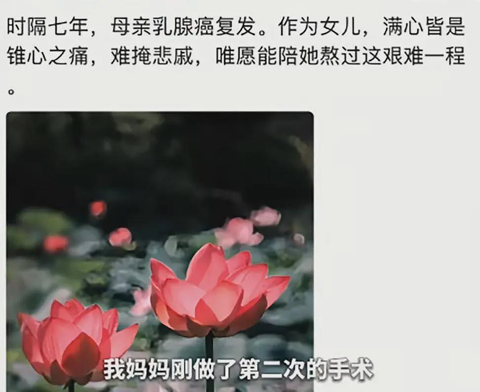 一家3口去理发店，王石给田朴珺拍照太有爱，5岁女儿太像爸爸（组图） - 5