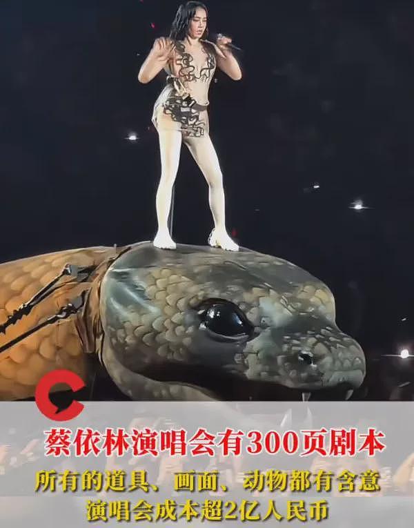 蔡依林演唱会风波升级！被起诉博主不道歉，坚称现场涉及西方宗教（组图） - 12