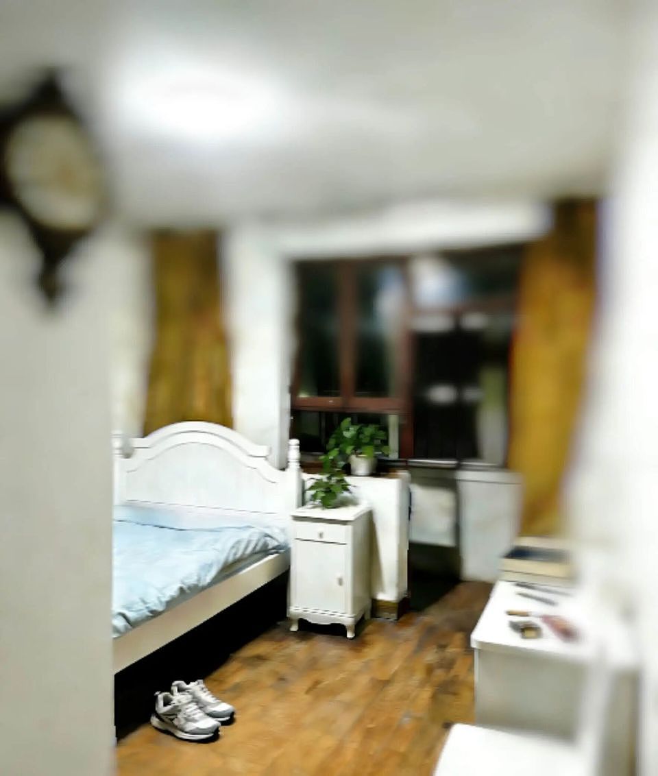 海归博士退学转投国际项目，十年后困在贵州出租屋啃泡面，与AI抢翻译活（组图） - 6