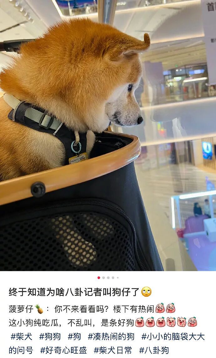 【爆笑】闺蜜和前男友分手后,要去对方家楼下跪求复合!还拉我一起跪着?(组图) - 17