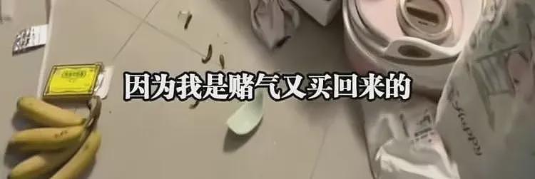 洗碗机大反转!砸家男越看越冤,知情人曝更多,难怪丈夫会崩溃(组图) - 20
