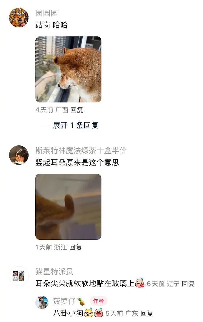 【爆笑】闺蜜和前男友分手后,要去对方家楼下跪求复合!还拉我一起跪着?(组图) - 20