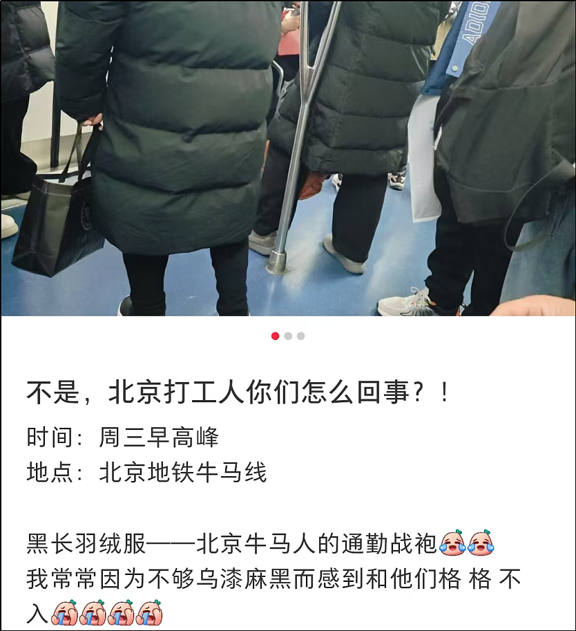 天价羽绒服的滤镜，被300元的超市平替彻底撕碎了（视频/组图） - 27