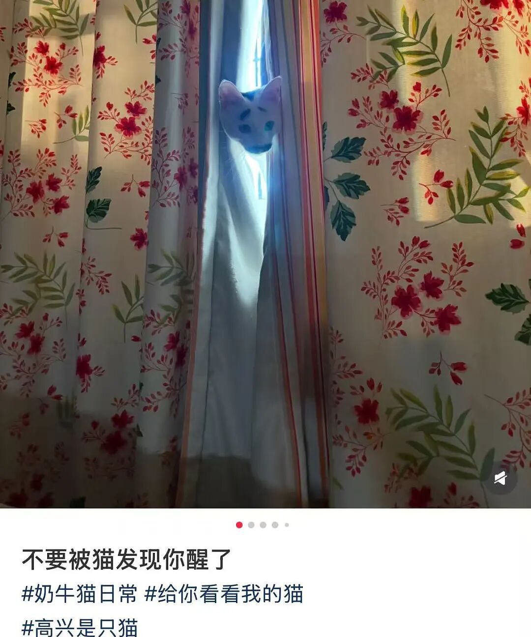 【爆笑】“男同学知道我要去留学后劝我别去…?”啊啊啊谁家醋坛子打翻了这么酸!(组图) - 29