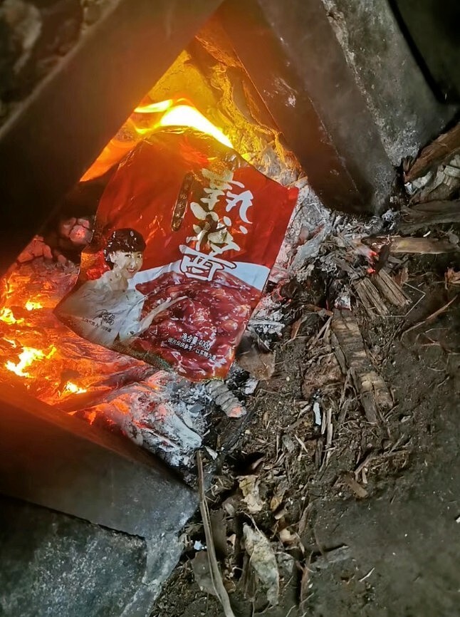 树倒猢狲散!知名女演员哭穷导致代言遭抵制,其儿子发声回应(组图) - 24