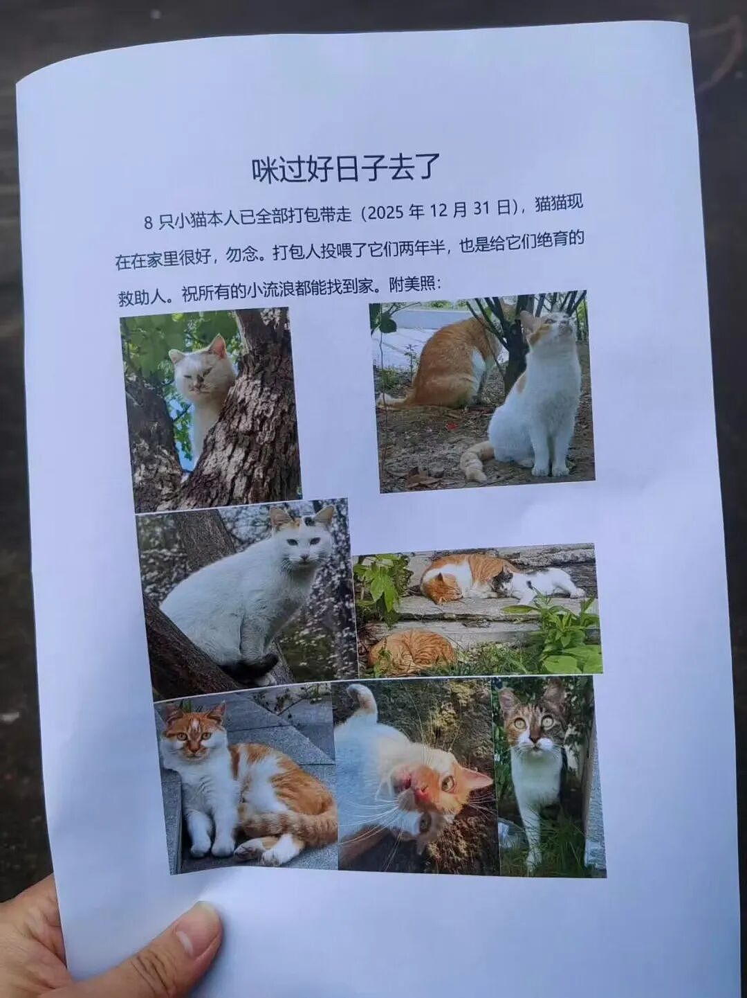 【爆笑】“男同学知道我要去留学后劝我别去…?”啊啊啊谁家醋坛子打翻了这么酸!(组图) - 44