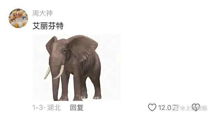 【爆笑】闺蜜和前男友分手后,要去对方家楼下跪求复合!还拉我一起跪着?(组图) - 46