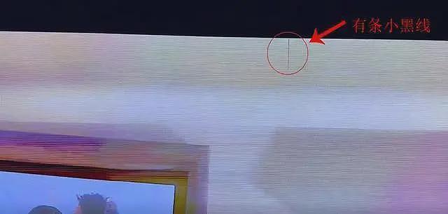 王思聪东京豪宅内景罕见曝光，送99朵玫瑰给女友，和懒懒已同居了（组图） - 8
