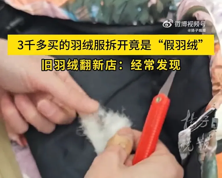 天价羽绒服的滤镜，被300元的超市平替彻底撕碎了（视频/组图） - 19