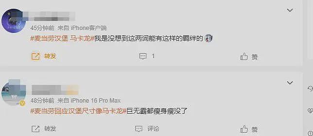背刺打工人涨价又缩水,汉堡像马卡龙!麦当劳被笑上了热搜……(组图) - 10