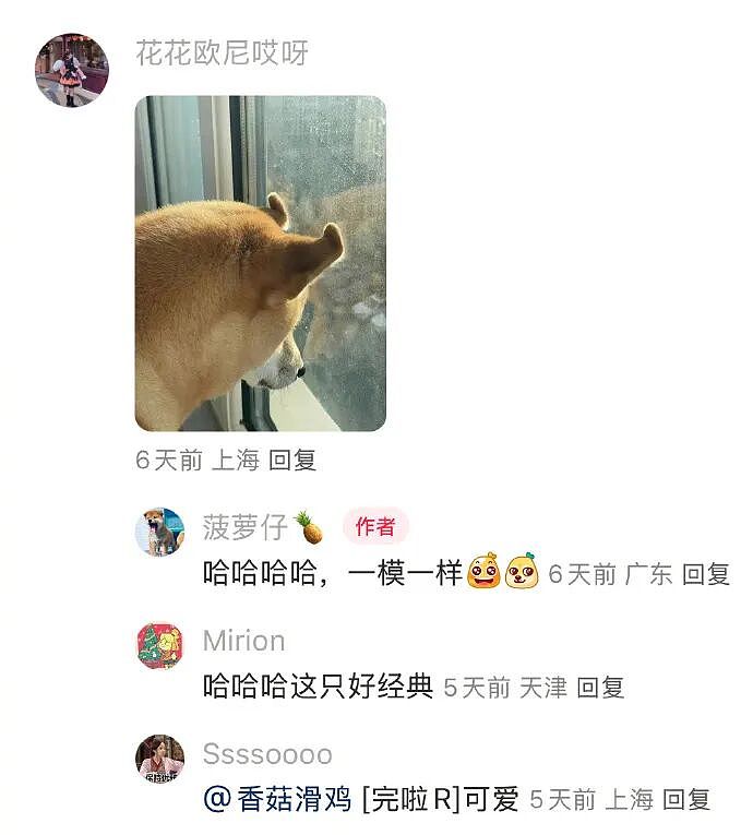 【爆笑】闺蜜和前男友分手后,要去对方家楼下跪求复合!还拉我一起跪着?(组图) - 18