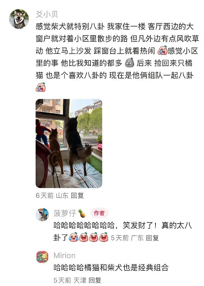 【爆笑】闺蜜和前男友分手后,要去对方家楼下跪求复合!还拉我一起跪着?(组图) - 19