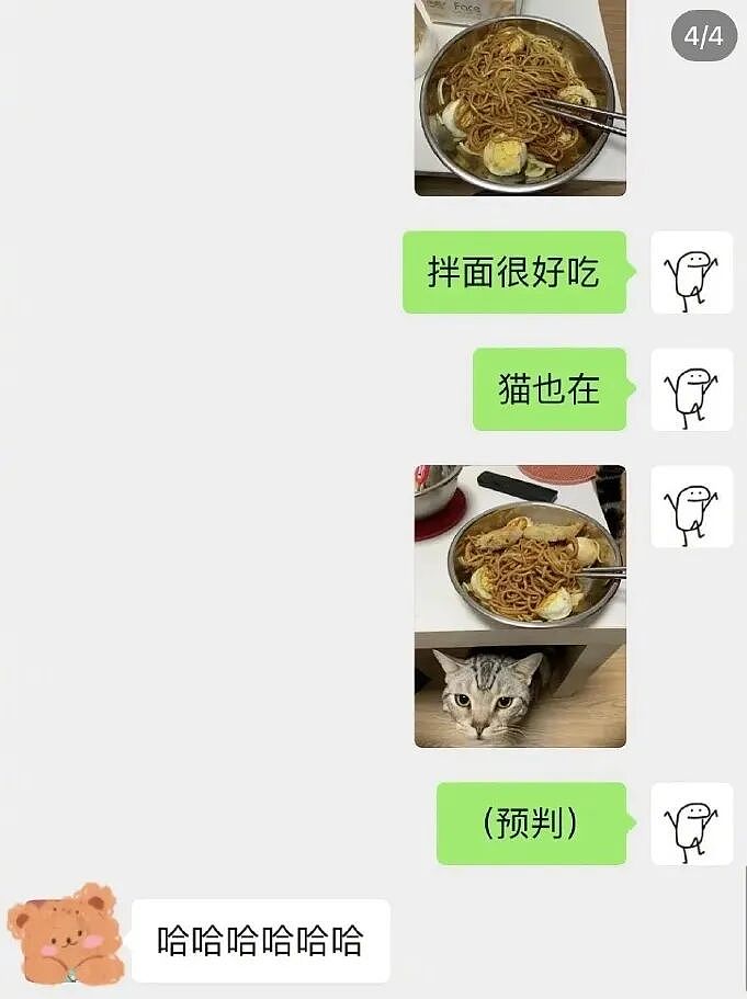 【宠物】男子吐槽老婆是为了猫才跟自己结婚，网友不信，一看聊天记录绷不住哈哈哈哈（组图） - 22