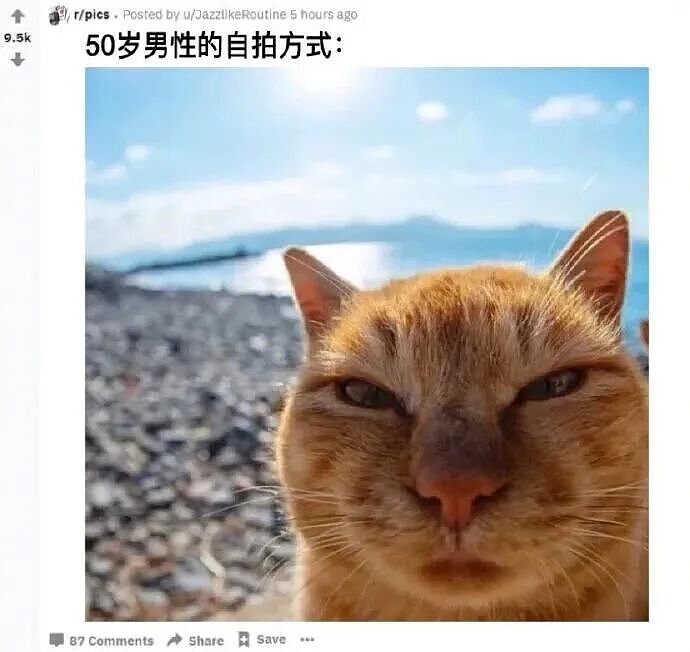 【爆笑】“男同学知道我要去留学后劝我别去…?”啊啊啊谁家醋坛子打翻了这么酸(组图) - 78