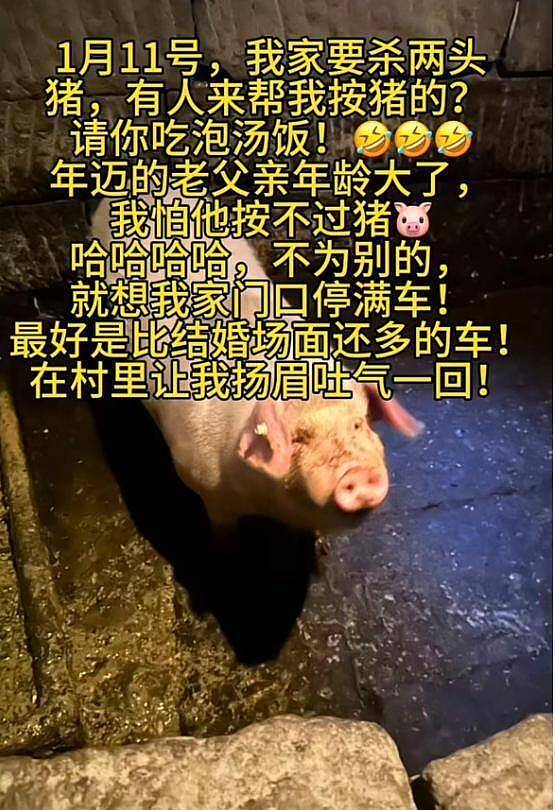 “合川千人杀猪饭”后续，一天宰猪五头，女子涨粉50万，文旅局忙疯了（组图） - 1