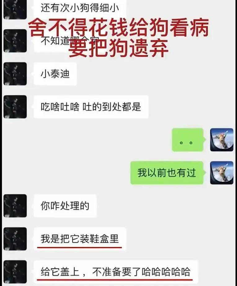 郑爽广电封禁通知曝光！日子久了都忘了她有多恶劣，违法还弃养（组图） - 27