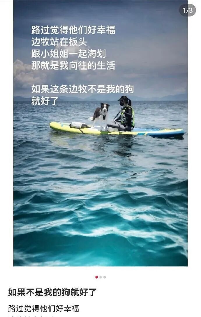 【爆笑】“男同学知道我要去留学后劝我别去…?”啊啊啊谁家醋坛子打翻了这么酸(组图) - 80