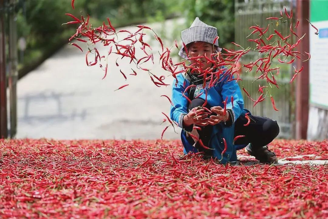 老干妈,出山救子,又赚翻了...(组图) - 4