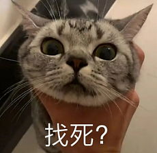 持新加坡护照“藏”中国户籍！男子深圳打工16年被判非法居留，或将终身禁止入华...（组图） - 3