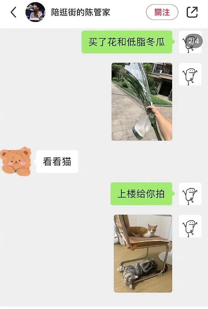 【宠物】男子吐槽老婆是为了猫才跟自己结婚，网友不信，一看聊天记录绷不住哈哈哈哈（组图） - 20