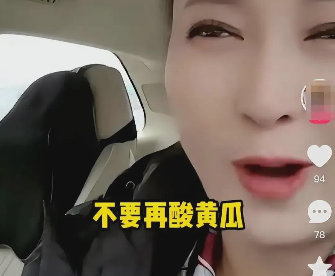 “国民媳妇”闫学晶怎么就因一根“酸黄瓜”翻车（组图） - 4