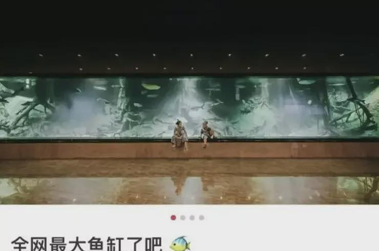陈志被捕!传炫富妻身份被起底!送女儿“金钢琴”、家中养鲨鱼、出行靠飞机(组图) - 4